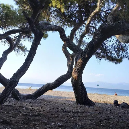 Cute Small Flat Near The Beach * Ξυλόκαστρο